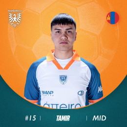 Буммядаг Тамир